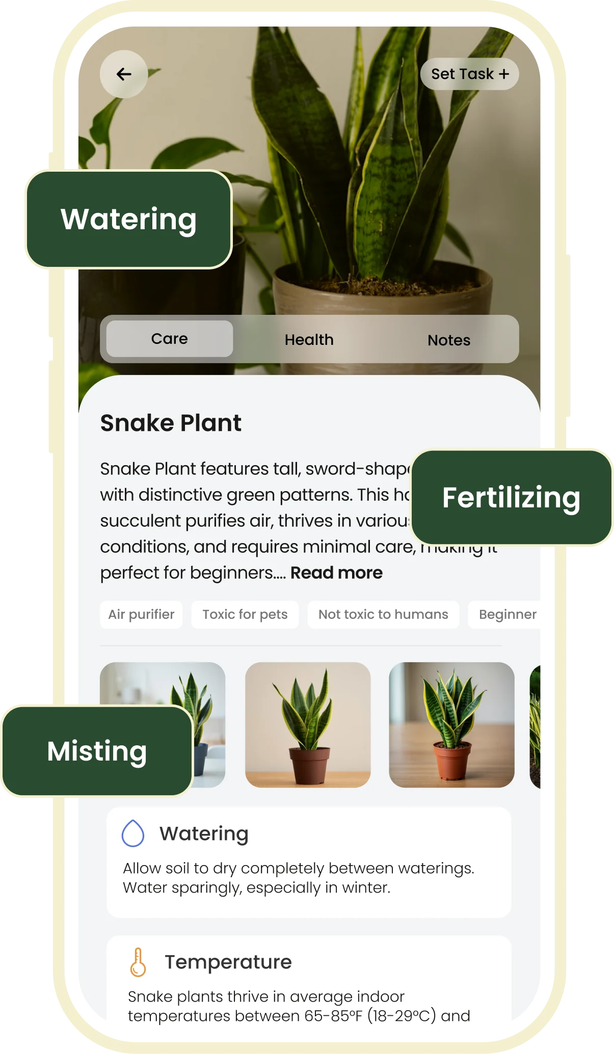 Plan de cuidado de plantas personalizado en la aplicación Plant ID